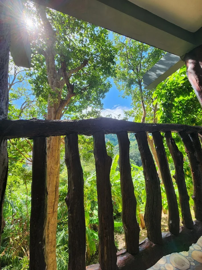 jungle view from our balcony on Tonsai very green and monkeys!