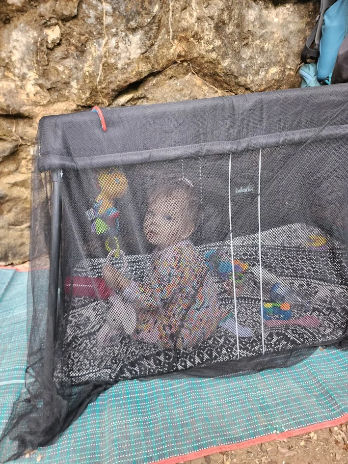 A mosquito net over a travel cot in the jungle