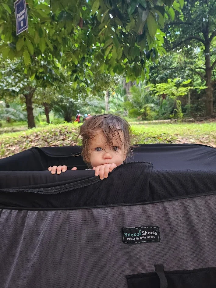 baby sleeping in the jungle in thailand while mum and dad go rock climbing