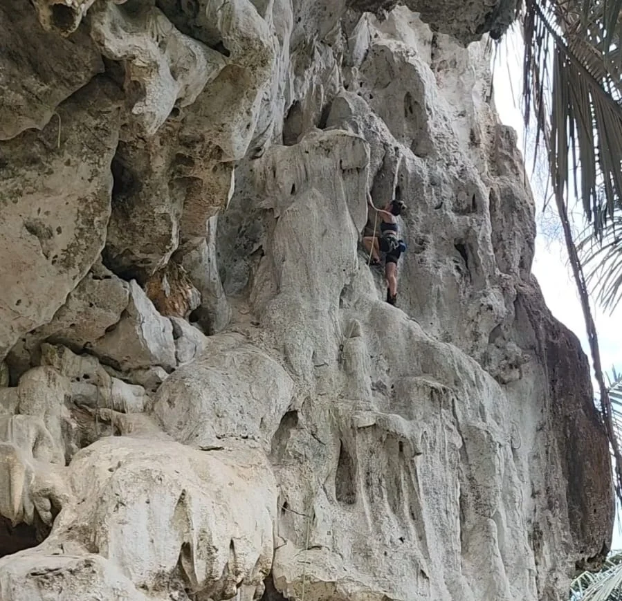 A girl rock climbing on a tall limestone cliff. Another of her from a different angle, focused and calm on the wall.