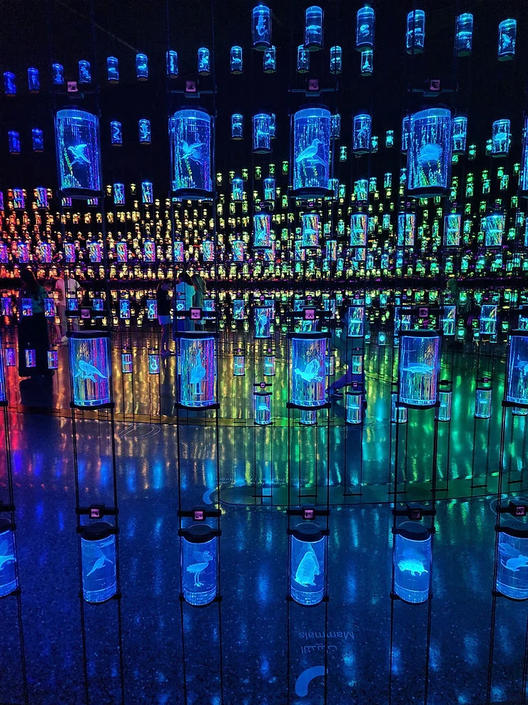 a futuristic part of the future museum in dubai with 2500+ species