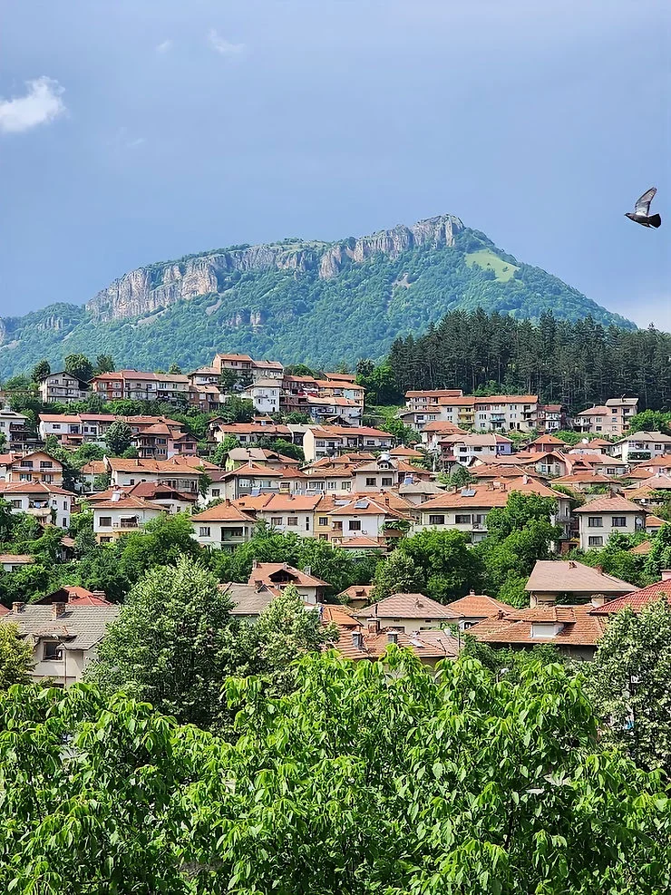 13e465 C472d9a3a045414395c8ff3df1295ef2mv2