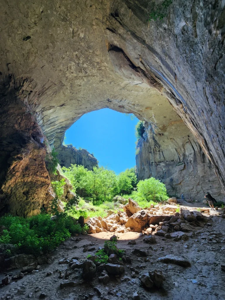 13e465 De376e04306a4a82b49ed7c0c16c660fmv2 768x1024