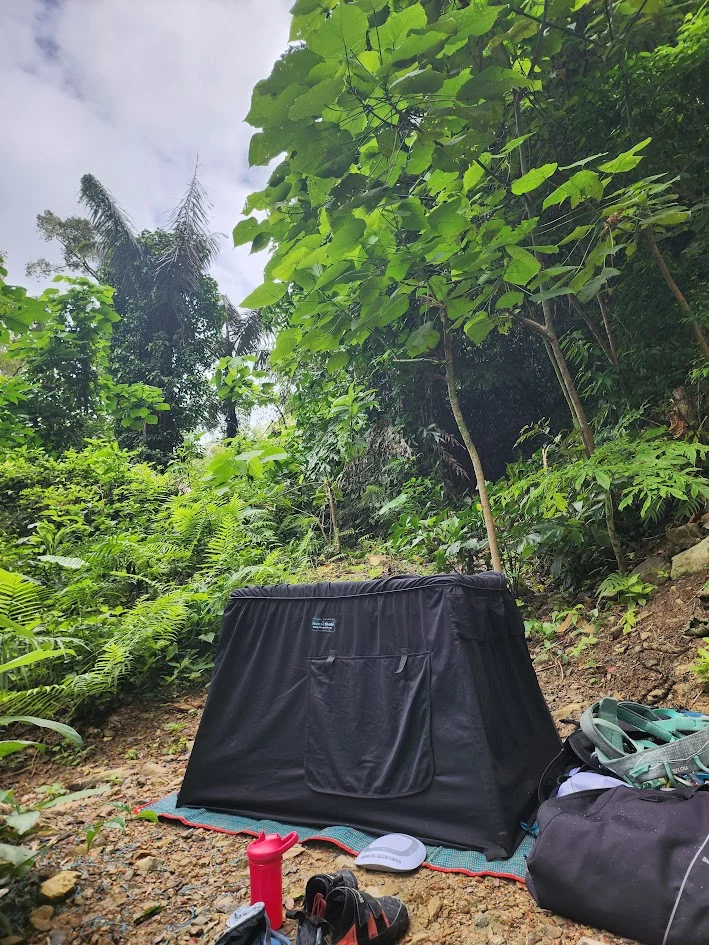 Peaceful jungle scene with a napping toddler