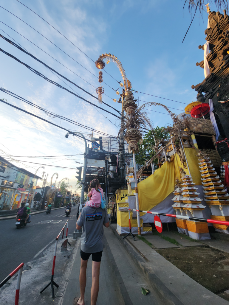 20250528 174637 768x1024